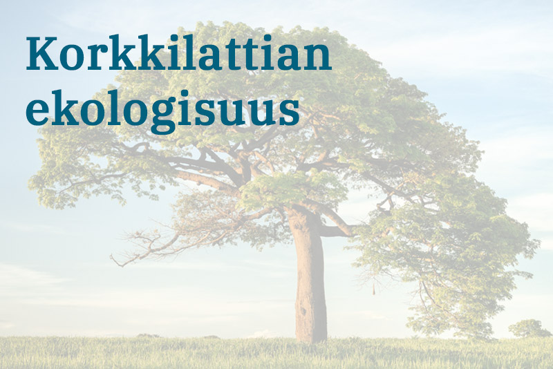 Korkkilattian ekologisuus