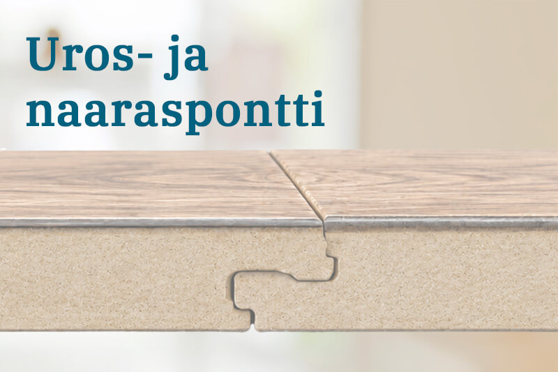 Uros- ja naaraspontti