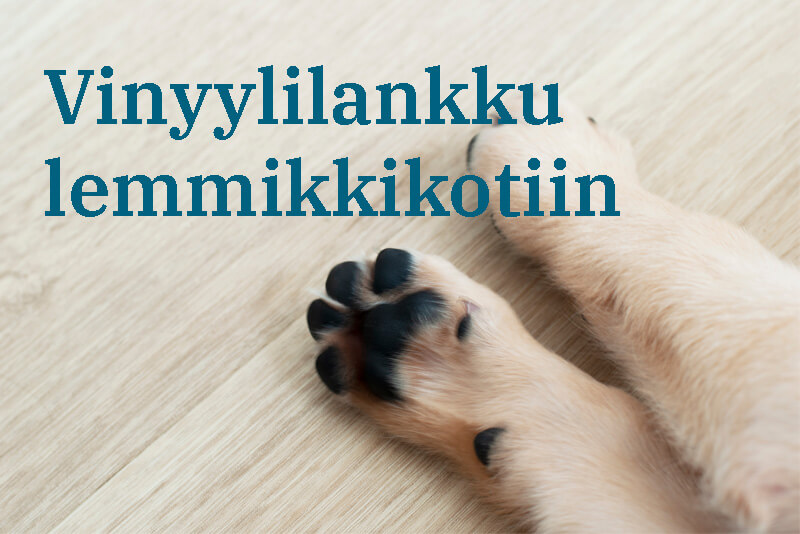 Sopiiko vinyylilankku lemmikkikotiin